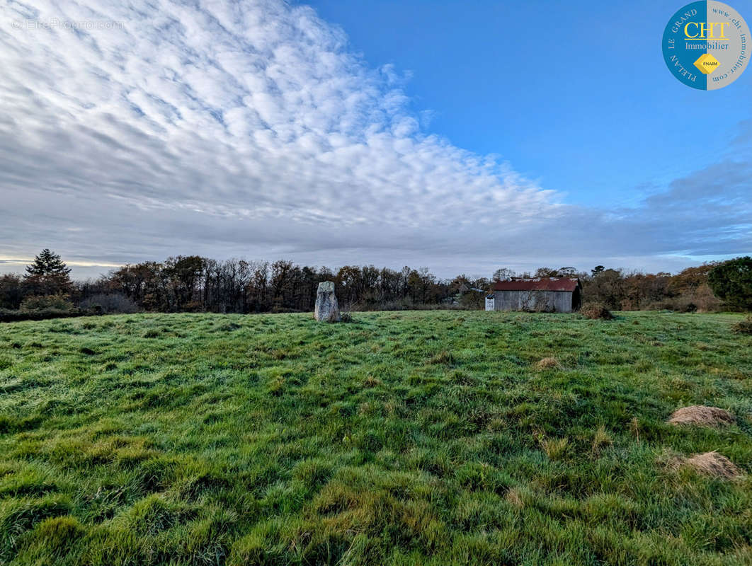 Terrain à MONTENEUF