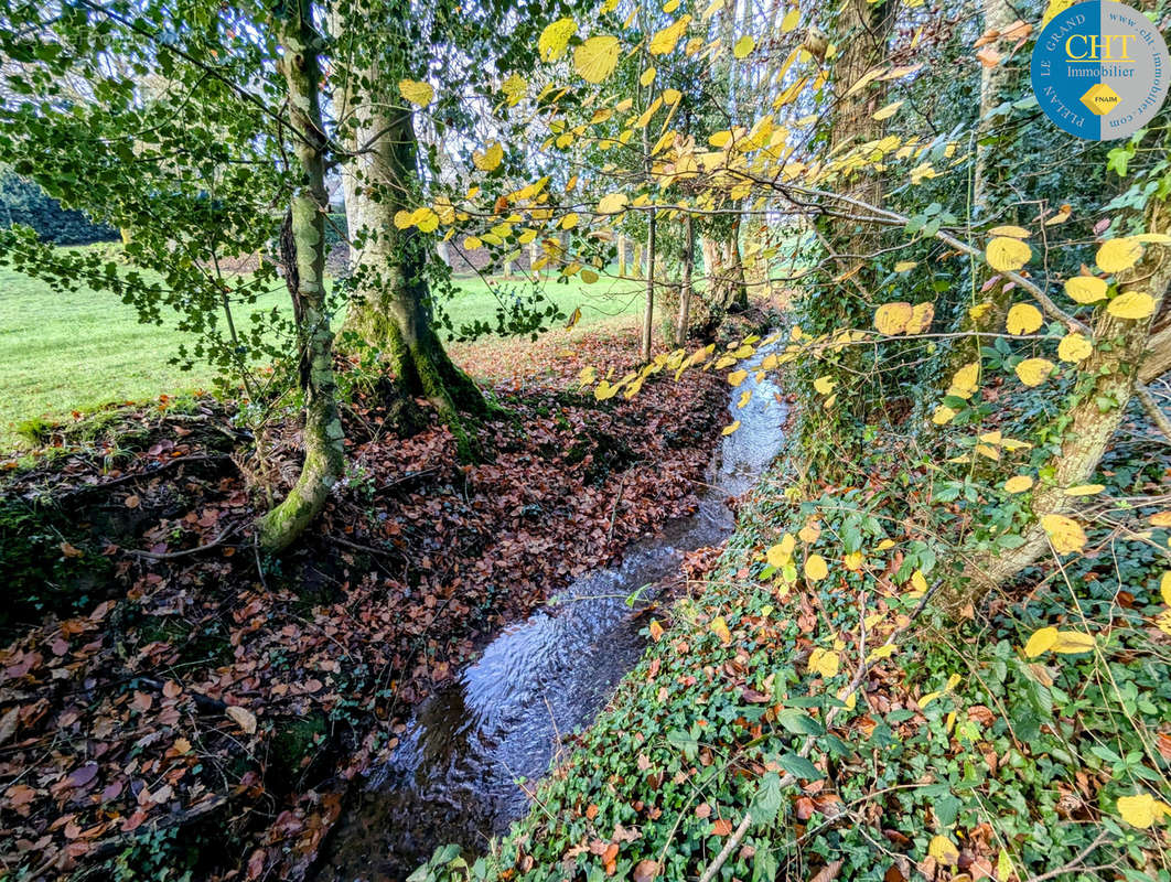 Terrain à MONTENEUF