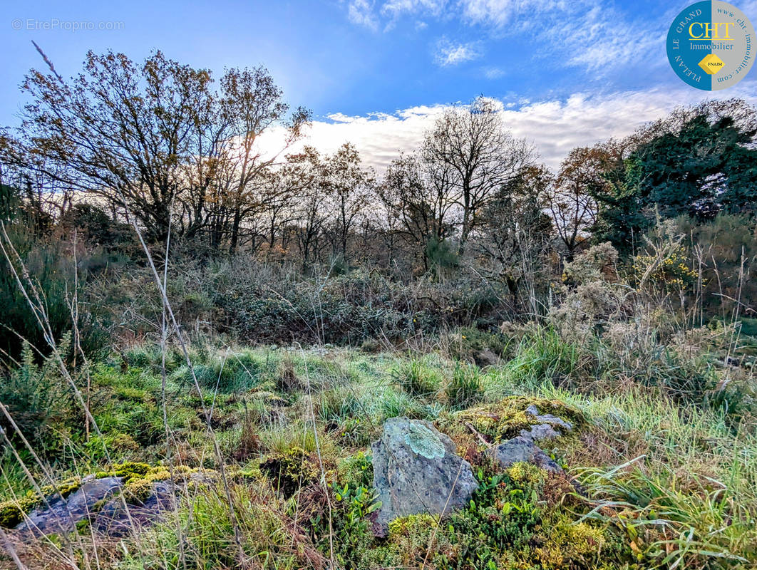 Terrain à MONTENEUF