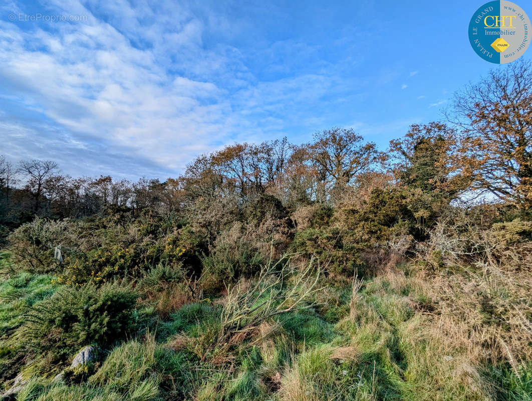 Terrain à MONTENEUF