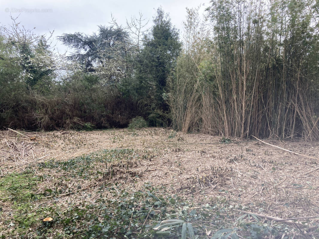 Terrain à SAINT-MICHEL-DE-CHAVAIGNES