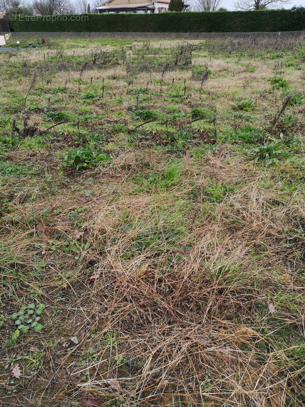 Terrain à VENDRENNES