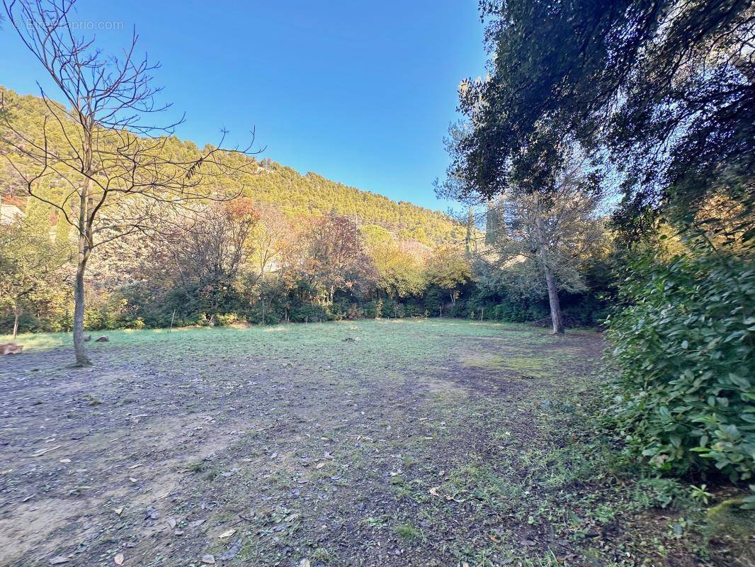 Terrain à BEAUMES-DE-VENISE