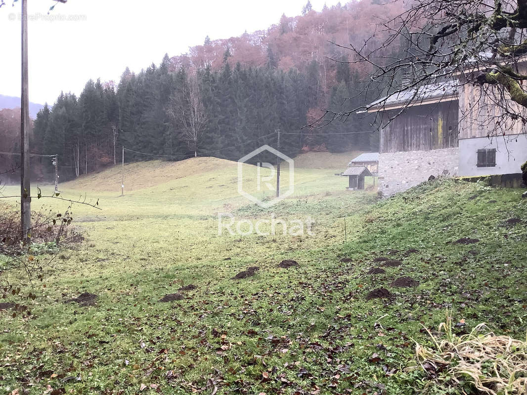 Autre à SAMOENS