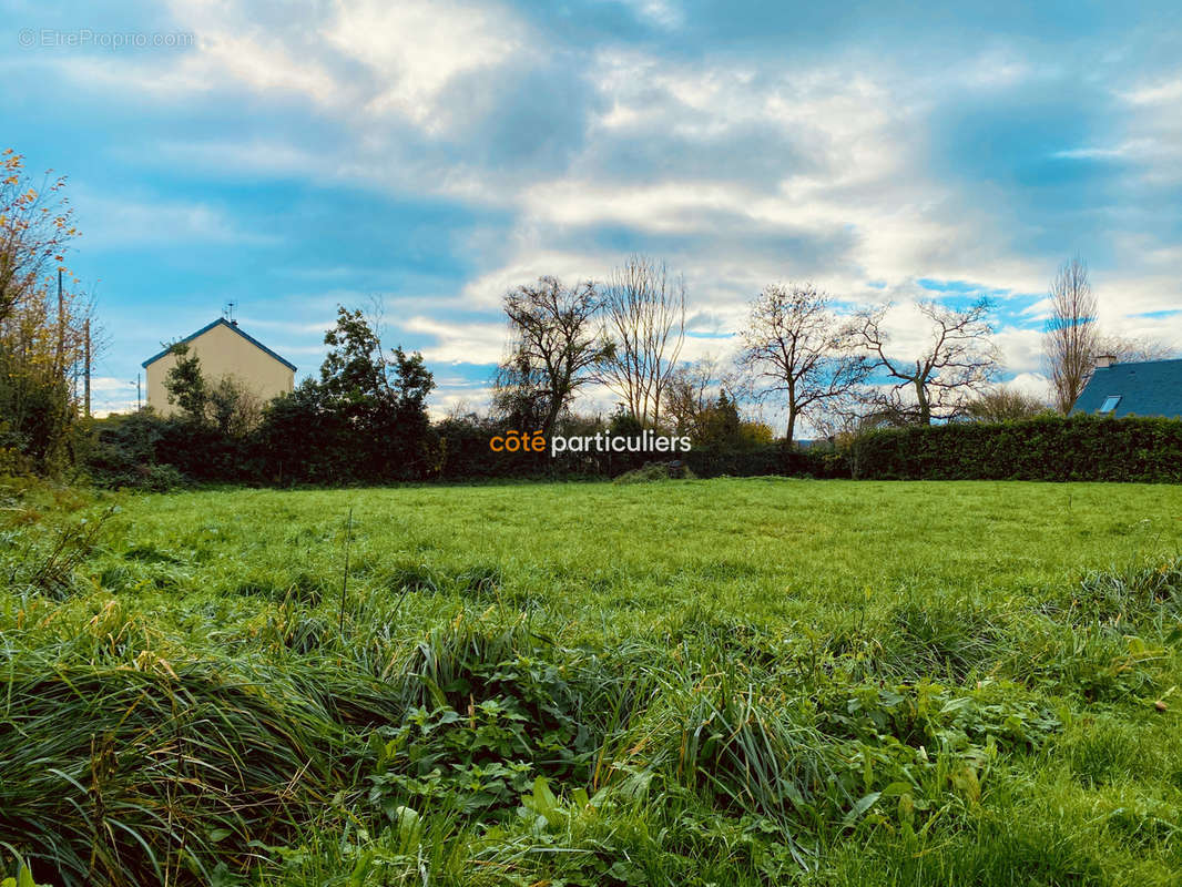 Terrain à VALOGNES