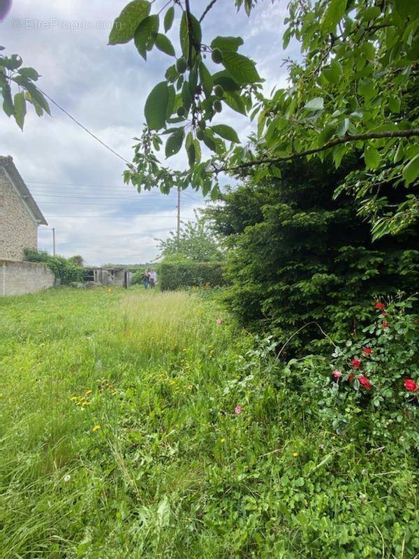 Terrain à SAVIGNY-SUR-ORGE