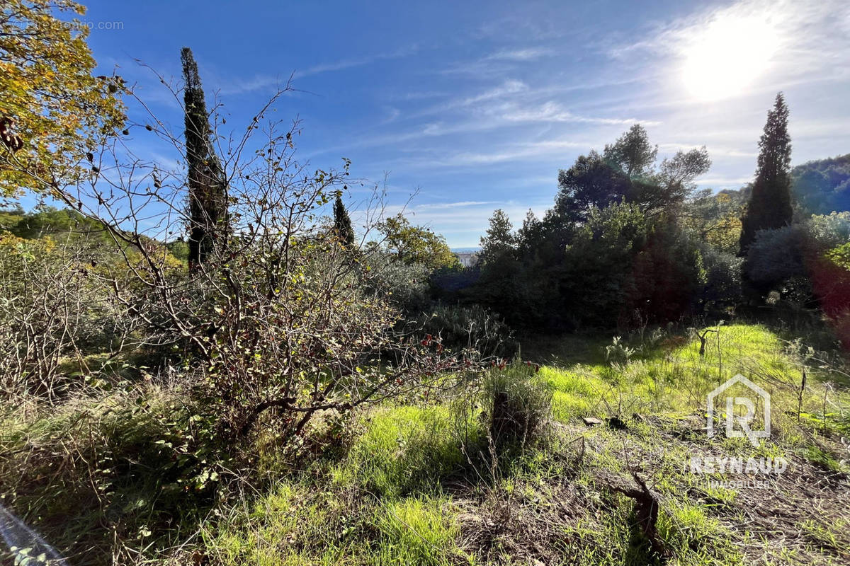 Terrain à CLERMONT-L&#039;HERAULT