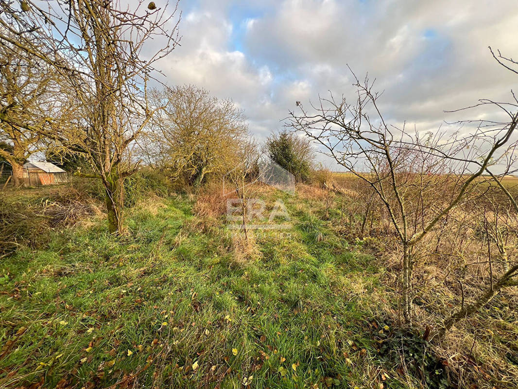 Terrain à ANGERVILLE