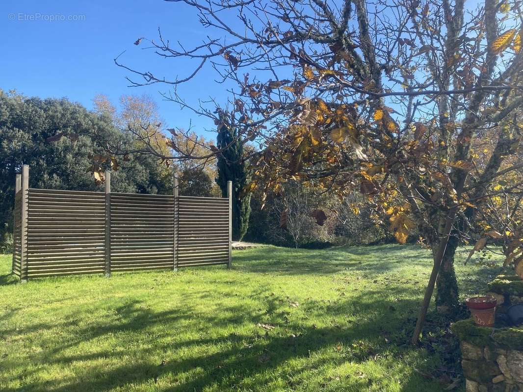 Jardin piscine derrière les claustras - Maison à SAINT-CYPRIEN