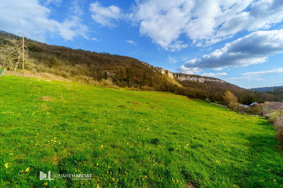 Terrain à BEAUNE