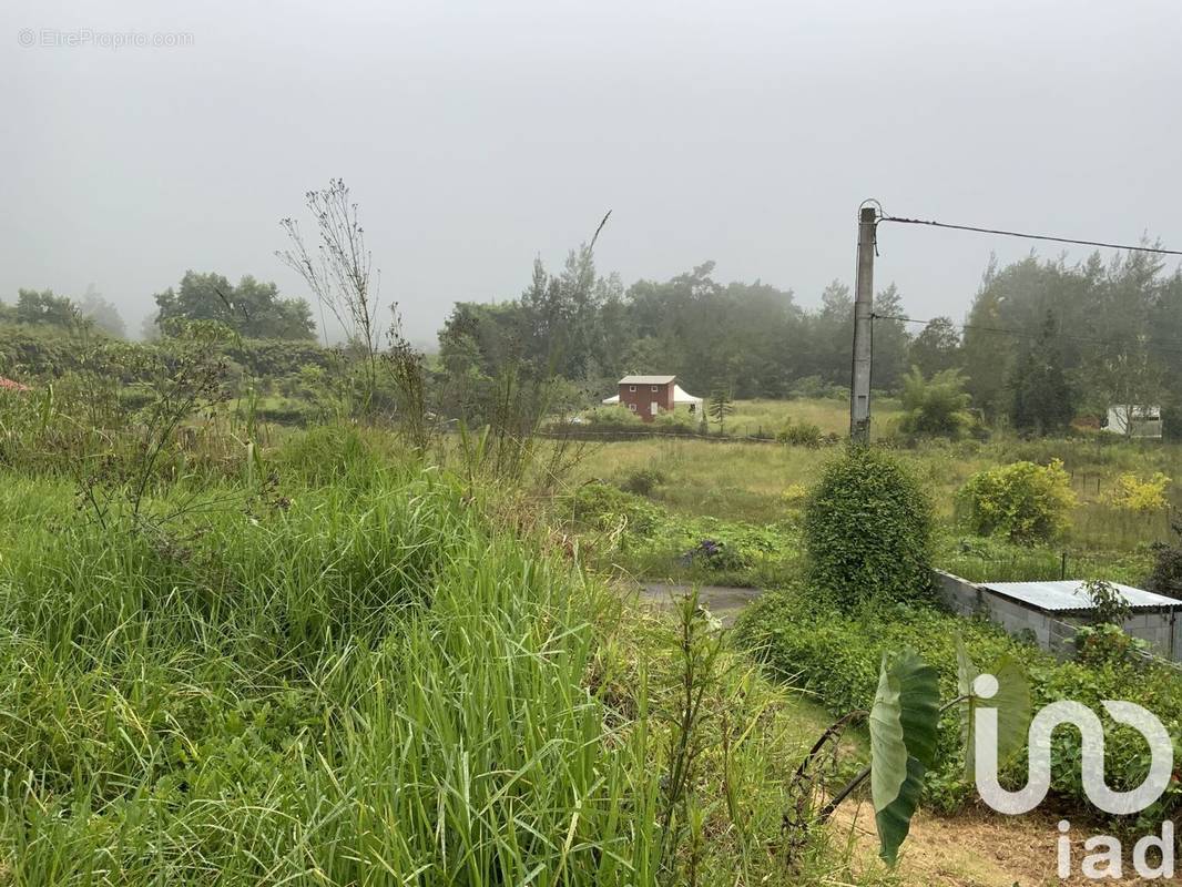 Photo 1 - Maison à LA PLAINE-DES-PALMISTES