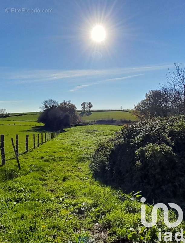 Photo 3 - Maison à RIEUPEYROUX