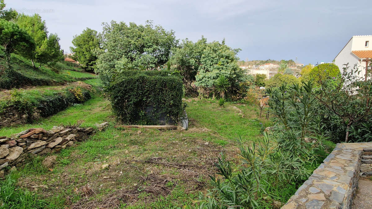 Terrain à PORT-VENDRES