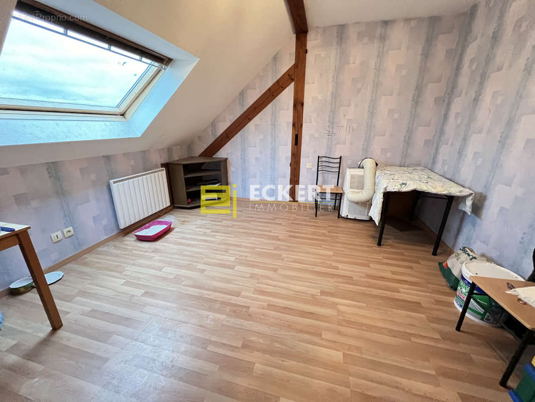 Appartement à BISCHOFFSHEIM