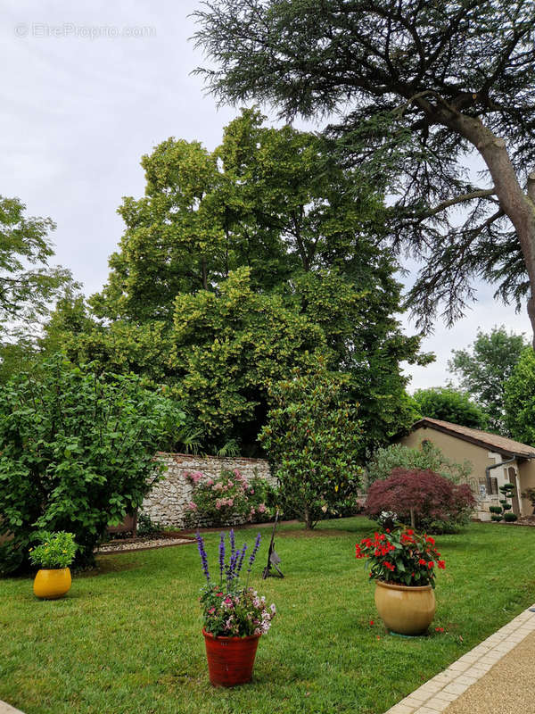 Maison à VILLENEUVE-SUR-LOT