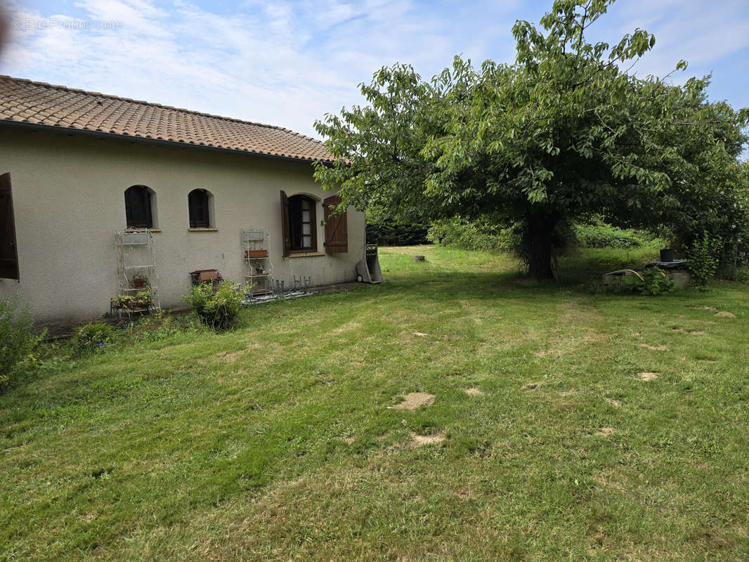 Maison à CASTELSARRASIN