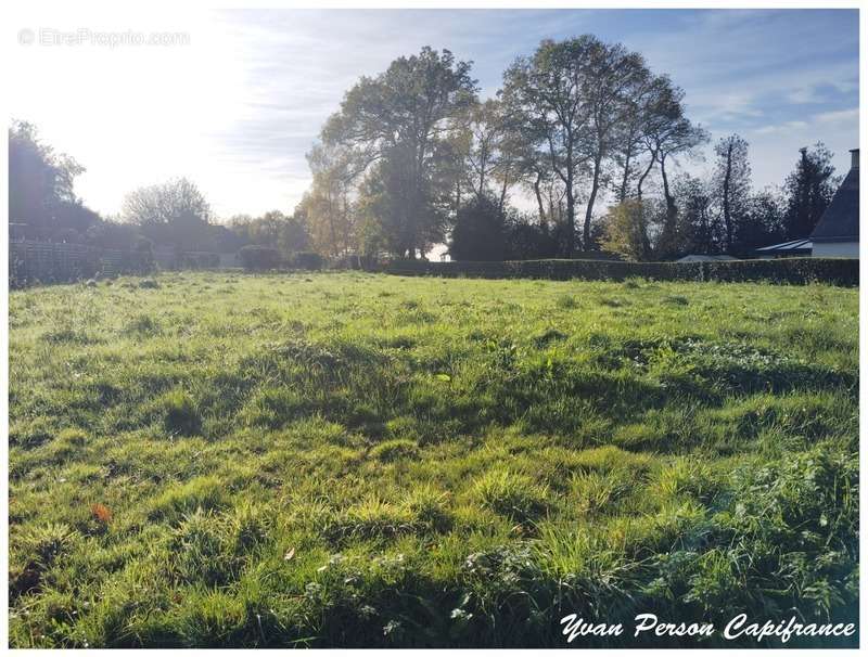 Terrain à PLOERMEL