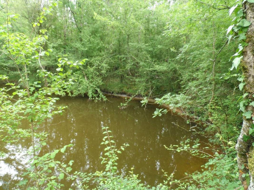 Terrain à CHENAUD