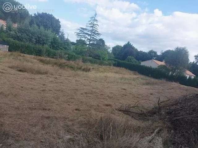 Terrain à APREMONT