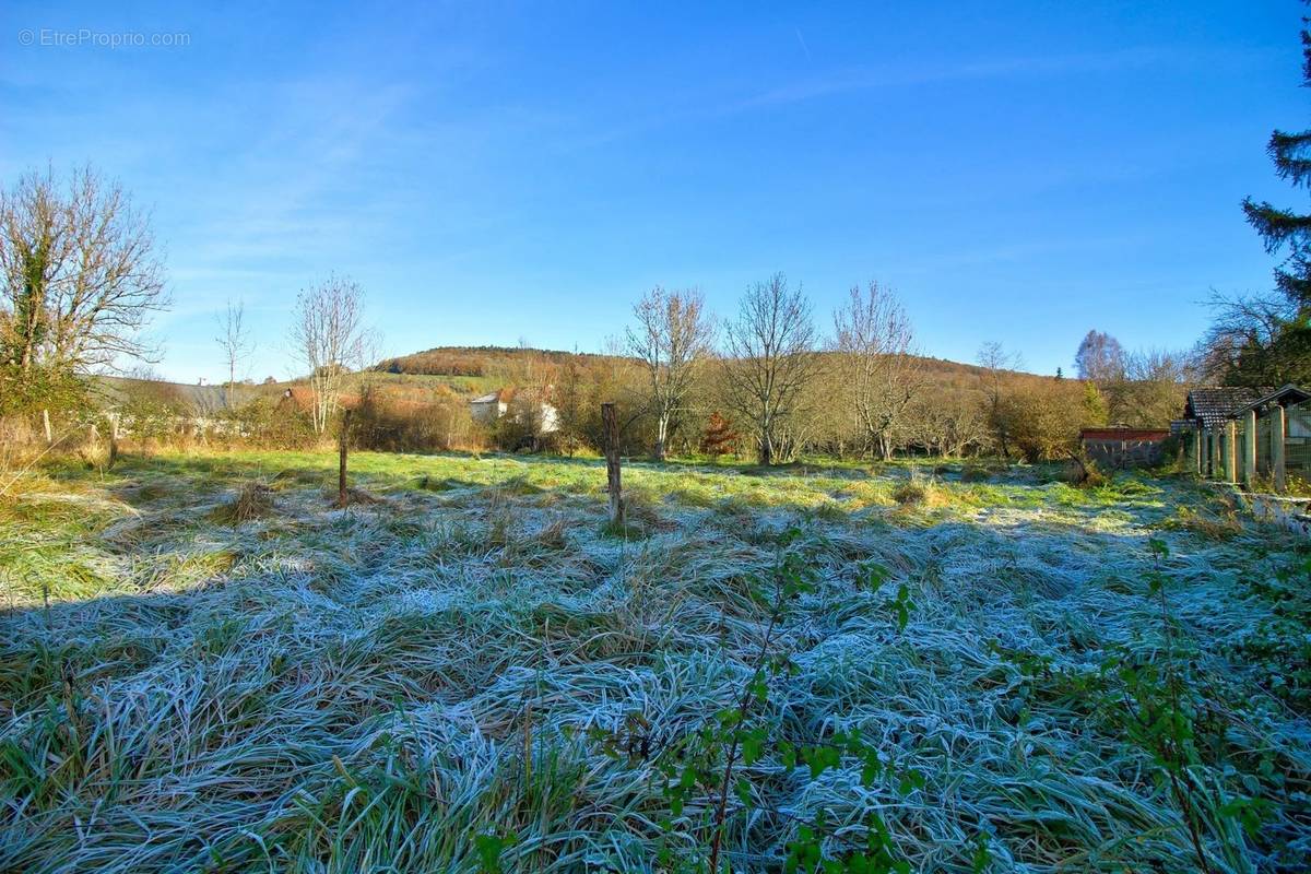 Terrain à BLAISY-BAS