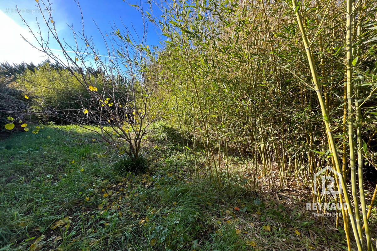 Terrain à NEBIAN