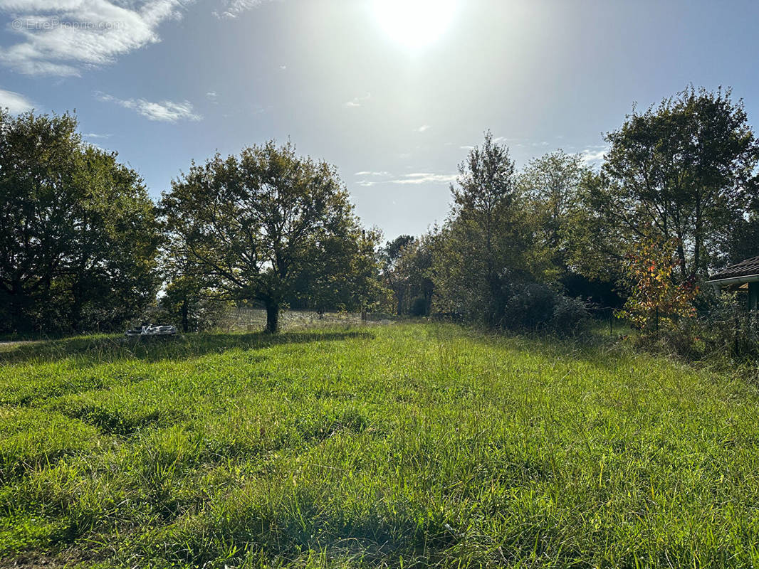 Terrain à SAINT-MARTIN-DE-HINX