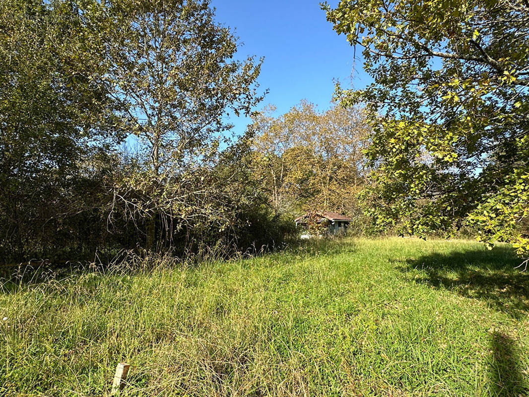 Terrain à SAINT-MARTIN-DE-HINX