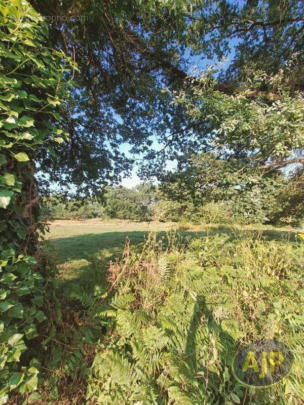 Terrain à PLESSE