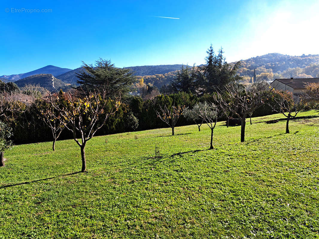 Terrain à MALAUCENE