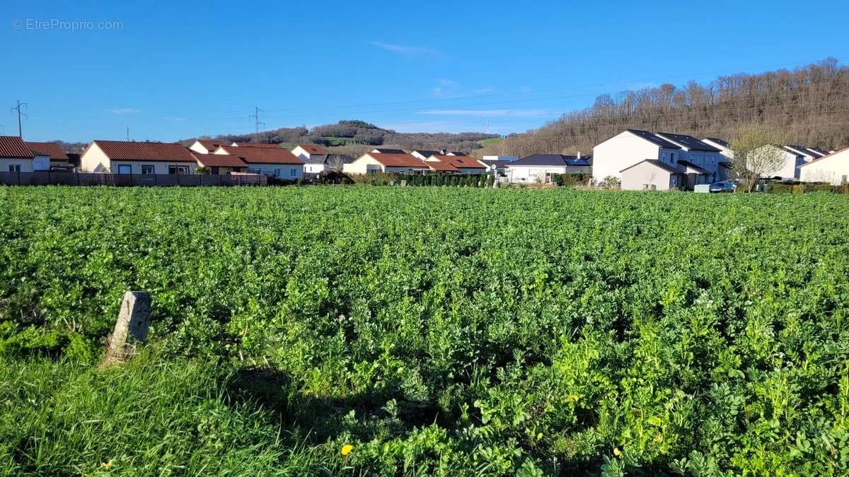 Terrain à ASSAT