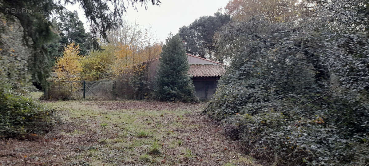 Maison à AVRILLE