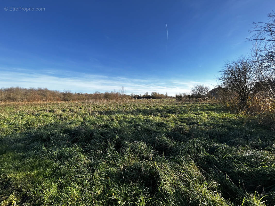 Terrain à CAYEUX-SUR-MER