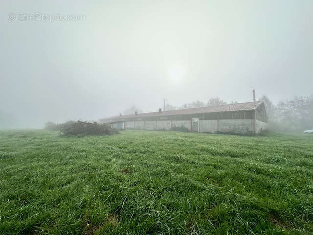 Appartement à BORESSE-ET-MARTRON