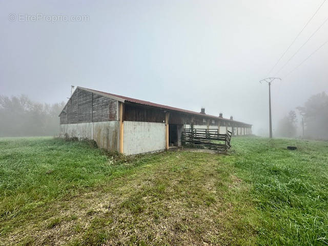 Appartement à BORESSE-ET-MARTRON