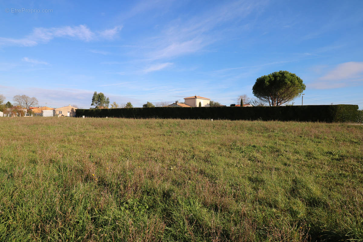 Terrain à PORT-D&#039;ENVAUX