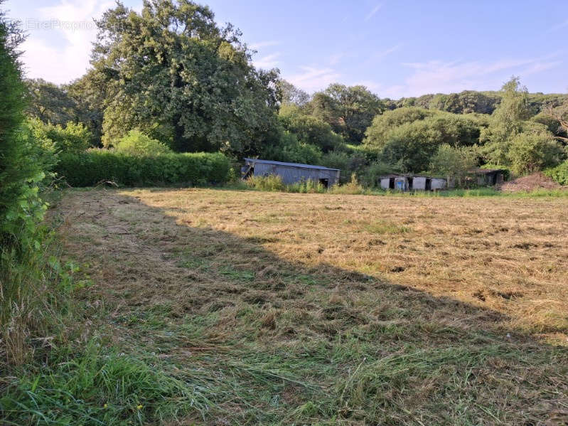 Terrain à LA SOUTERRAINE