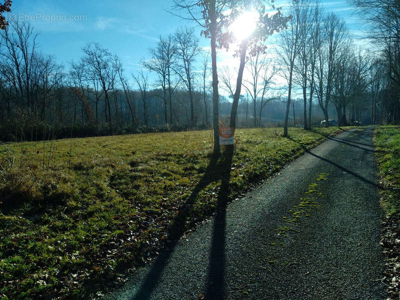 Terrain à LOUBEJAC