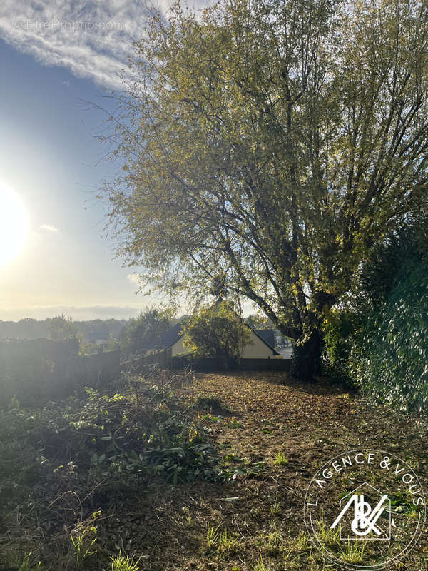 Terrain à LE TRONCHET