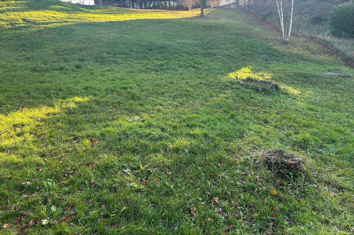 Terrain à CHATELGUYON