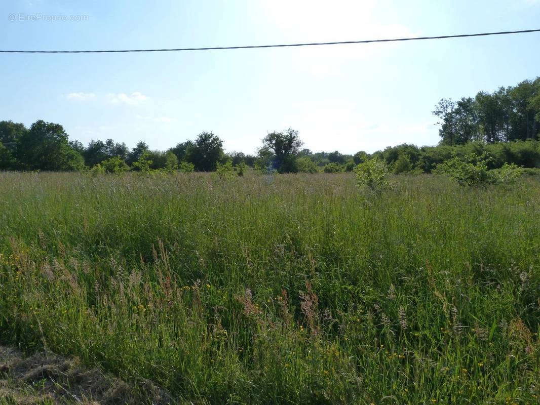 Terrain à VIERZON