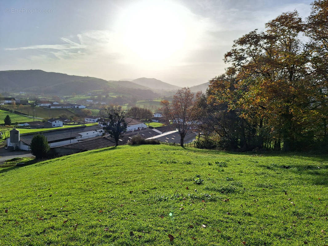 Terrain à HASPARREN