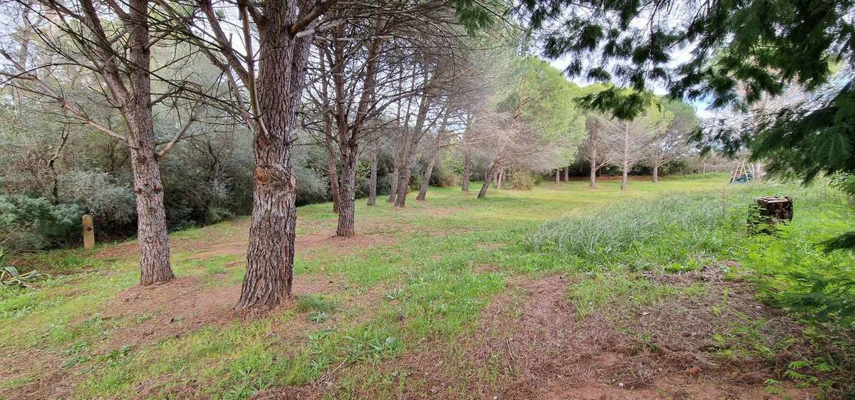 Autre à ROQUEBRUNE-SUR-ARGENS