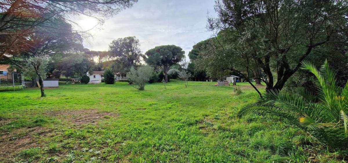 Autre à ROQUEBRUNE-SUR-ARGENS