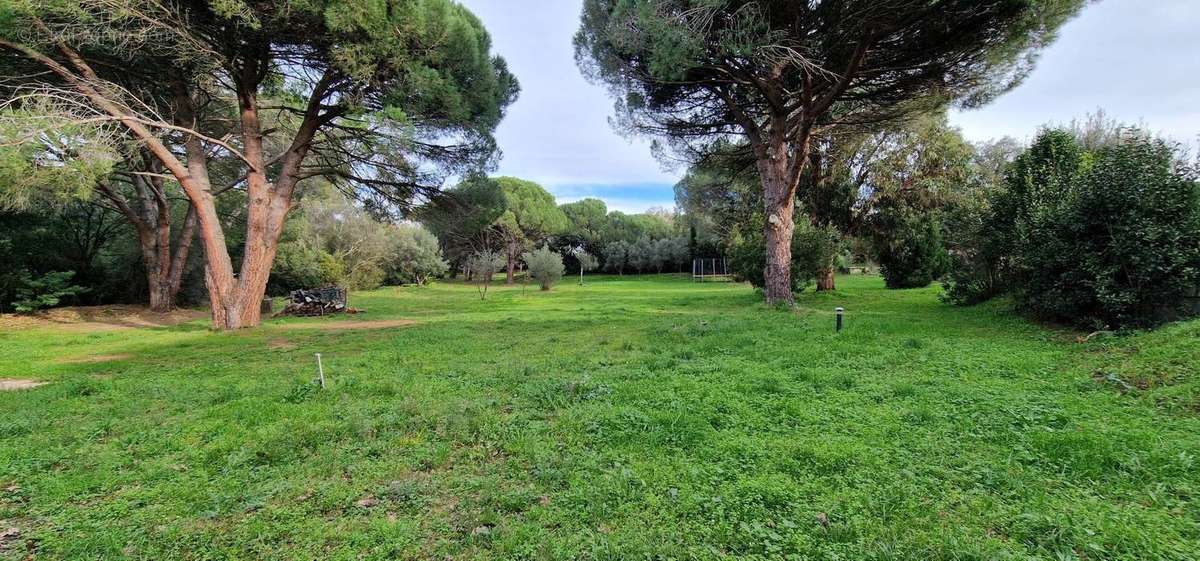 Autre à ROQUEBRUNE-SUR-ARGENS