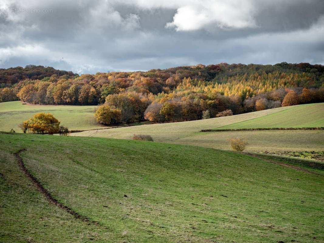 Terrain à SAINTE-SUZANNE