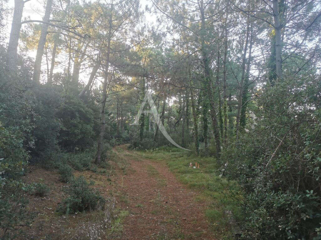 Terrain à SAINT-JEAN-DE-MONTS