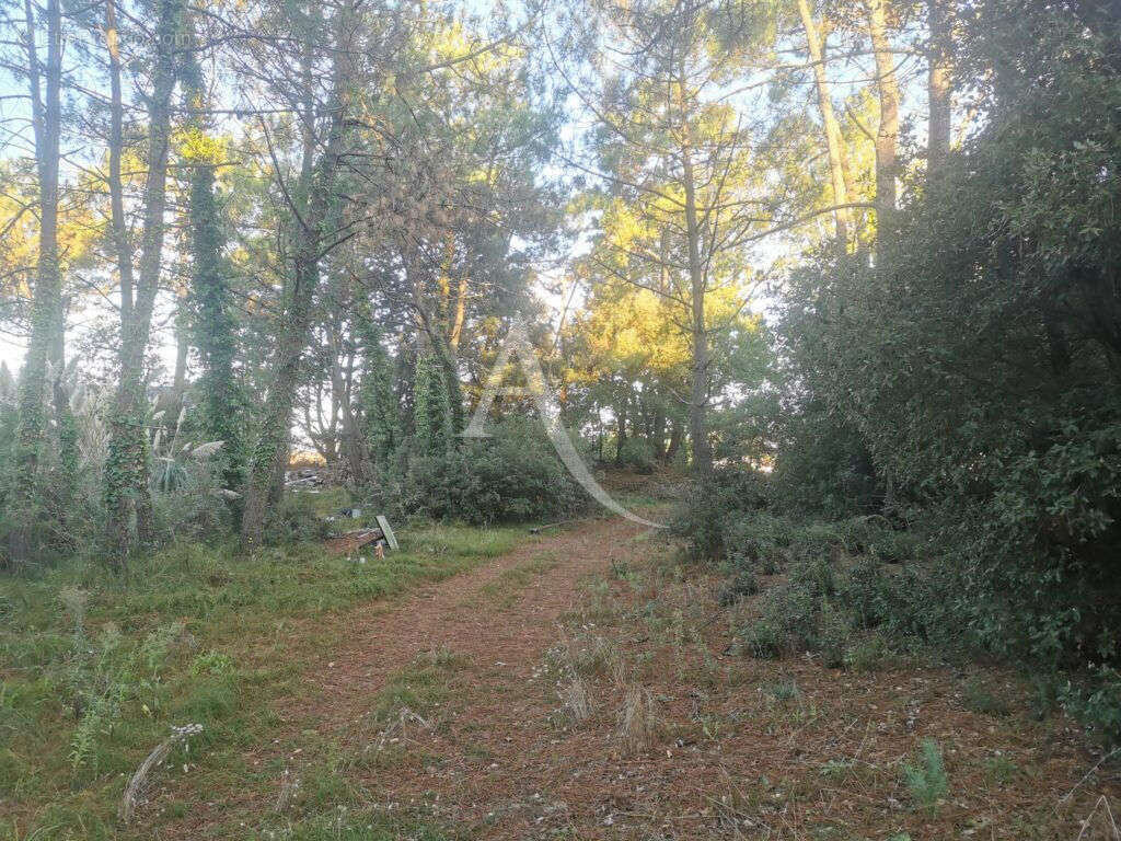 Terrain à SAINT-JEAN-DE-MONTS