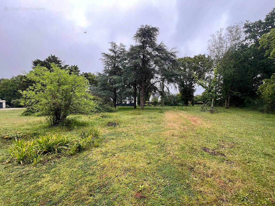 Terrain à GUERANDE