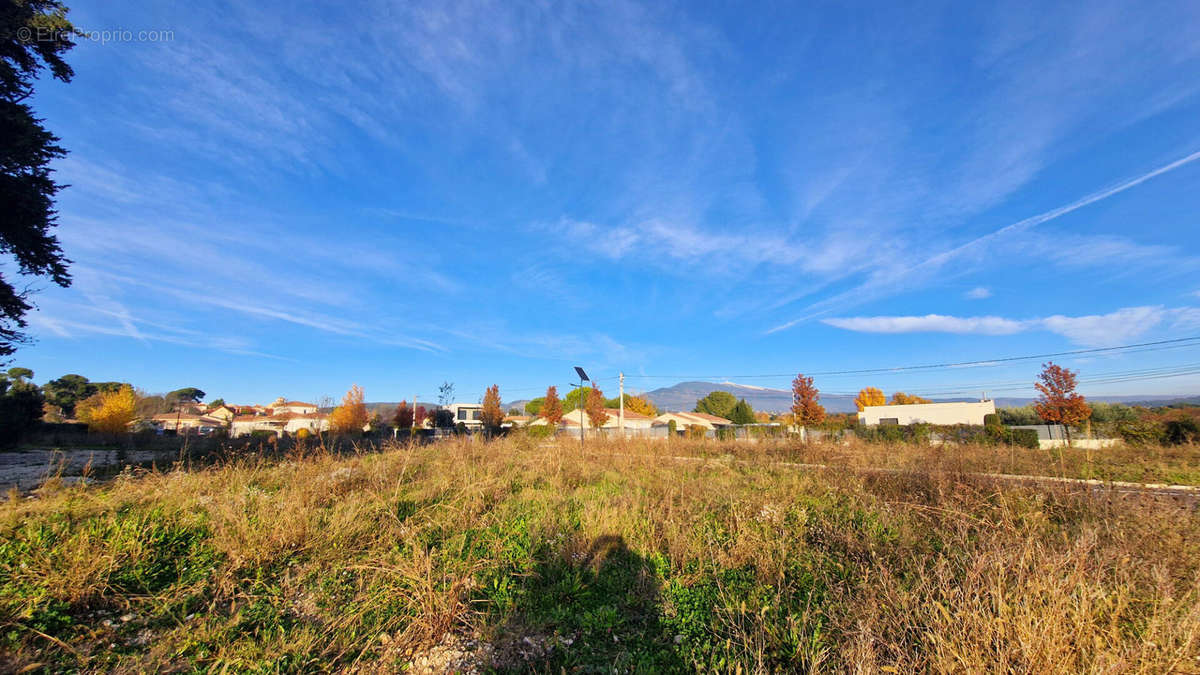 Terrain à CAROMB