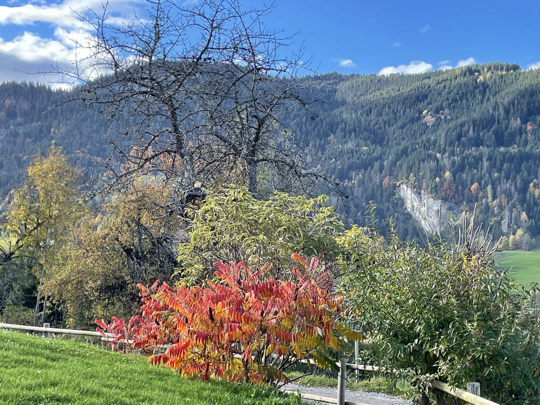 Terrain à MEGEVE